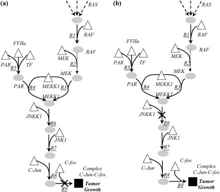 FIGURE 13