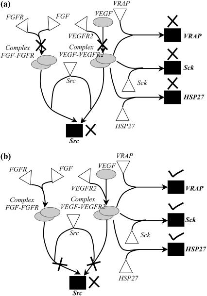 FIGURE 16