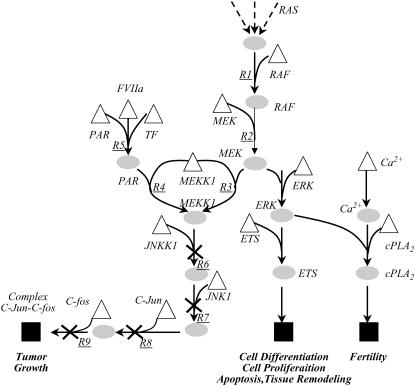 FIGURE 14