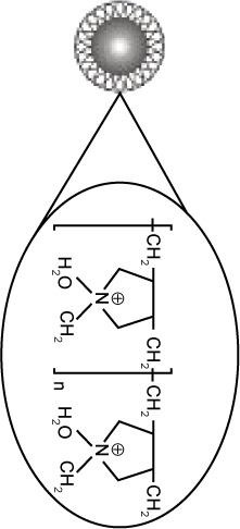 graphic file with name ijn-10-1869Fig8.jpg