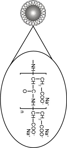 graphic file with name ijn-10-1869Fig6.jpg