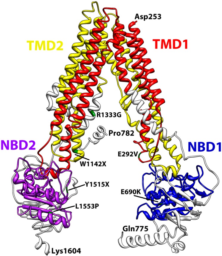 Figure 5