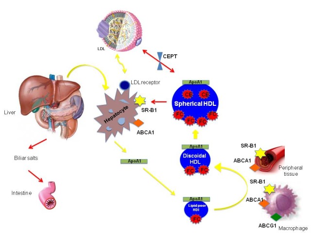 FIGURE 2