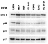 FIG. 7