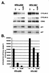 FIG. 6