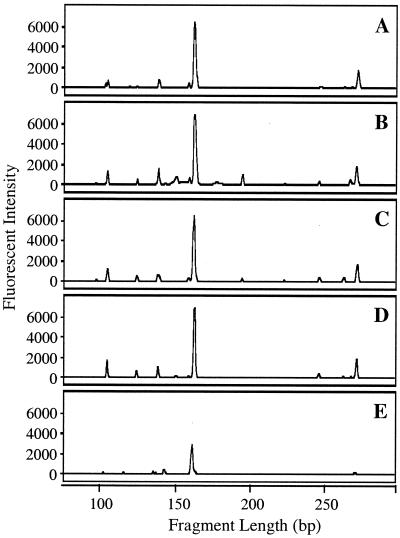 FIG. 5.