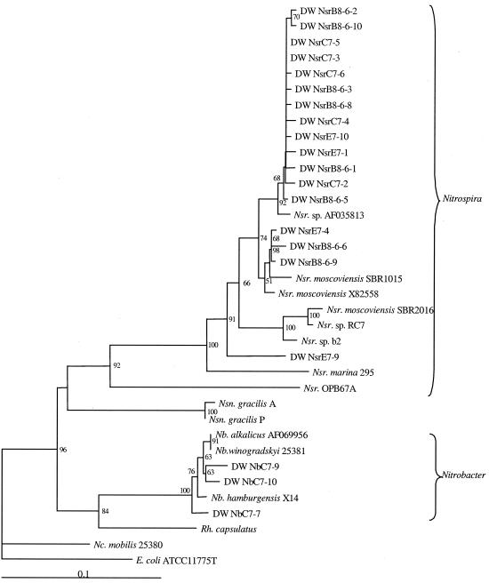 FIG. 8.