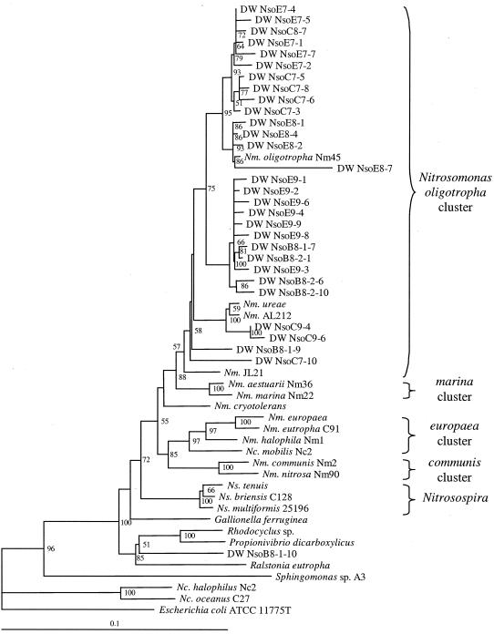 FIG. 6.