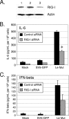 FIG. 6.