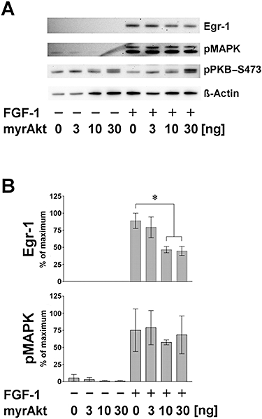 Figure 5 In