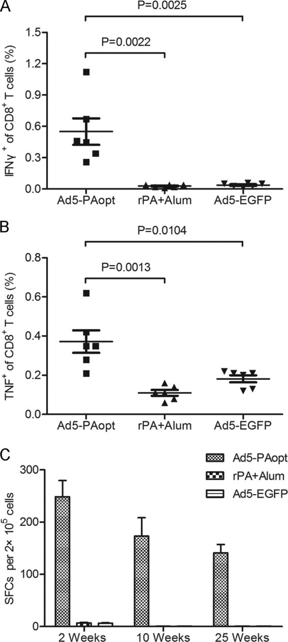 FIG 4