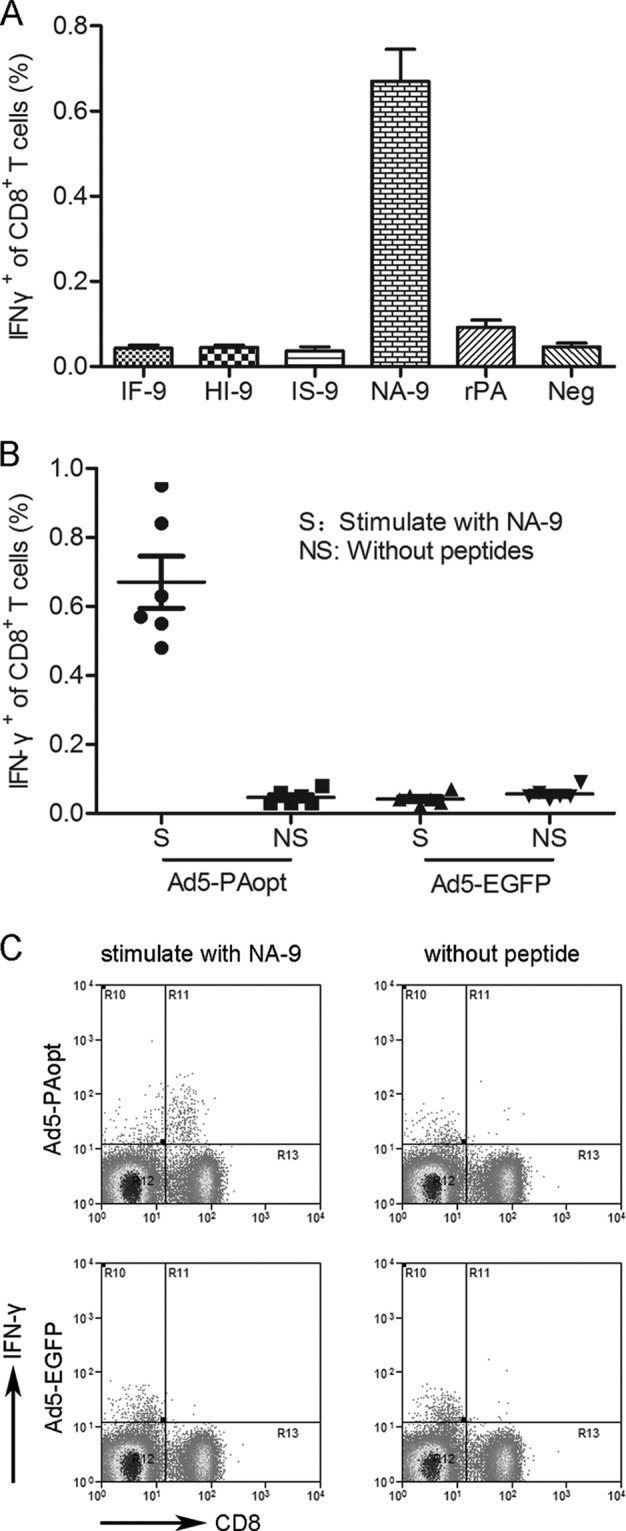 FIG 3