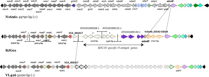 FIG 3