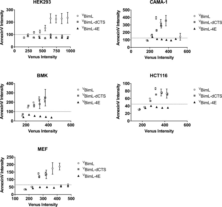 Figure 1—figure supplement 1.