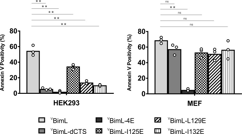 Figure 10.