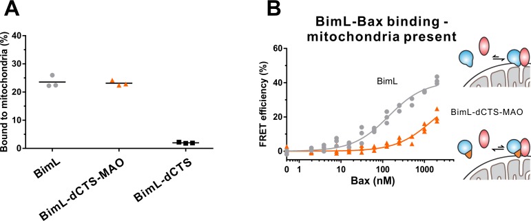 Figure 7—figure supplement 1.