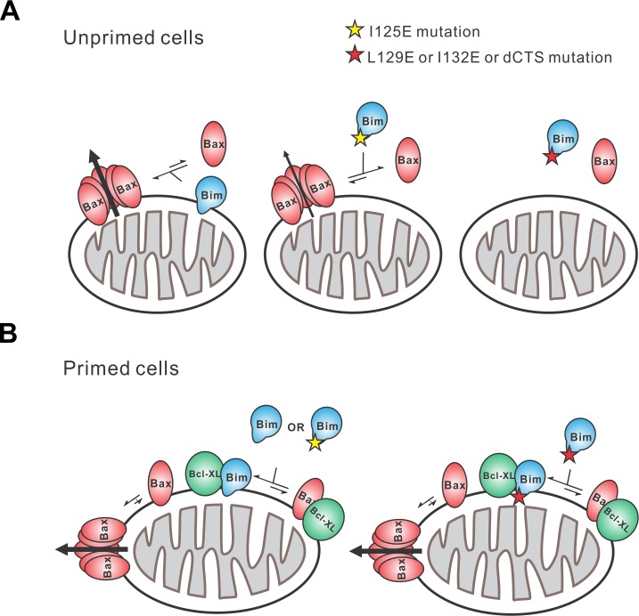 Figure 11.