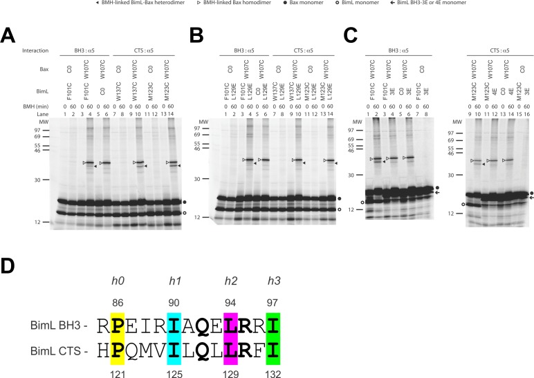 Figure 9.