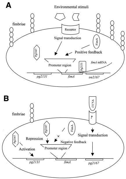 FIG. 7.