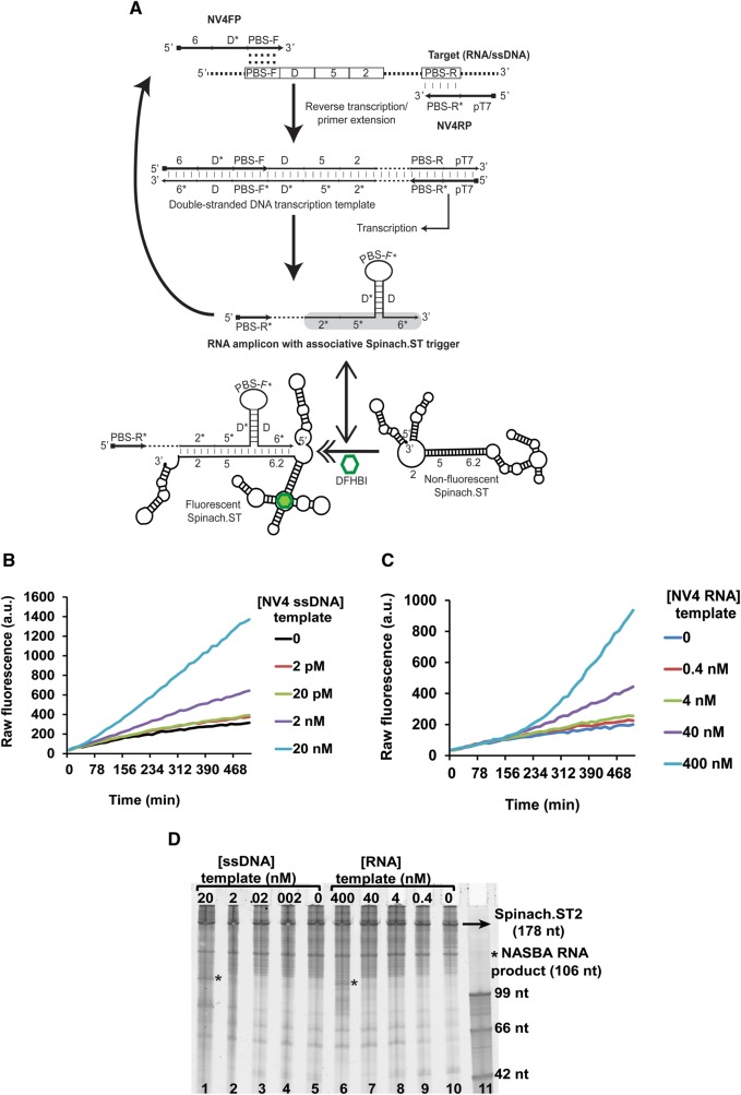 FIGURE 3.