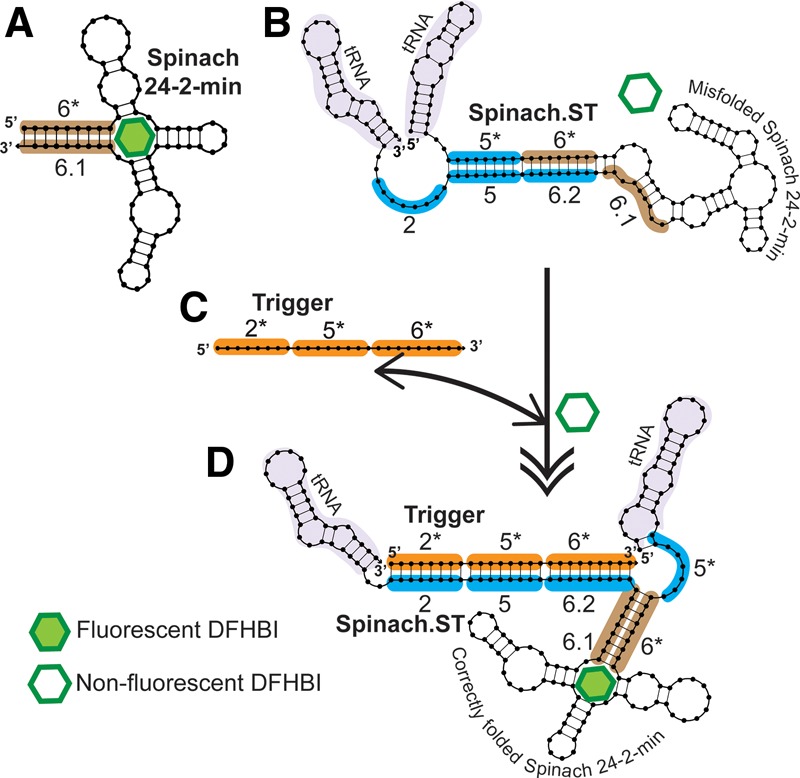 FIGURE 1.