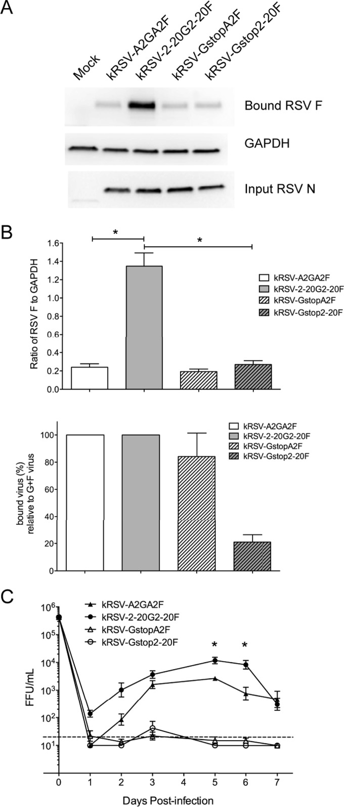 FIG 6