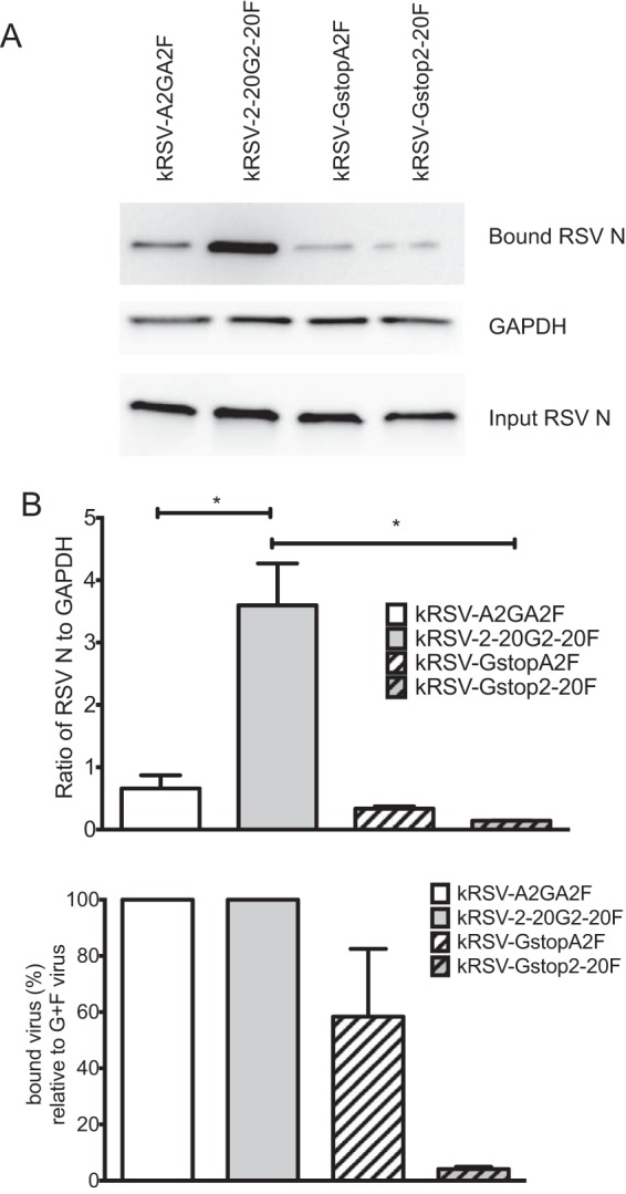 FIG 2