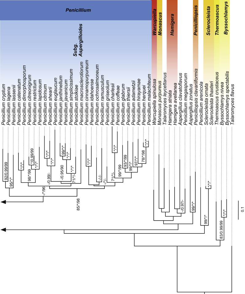 Fig. 1