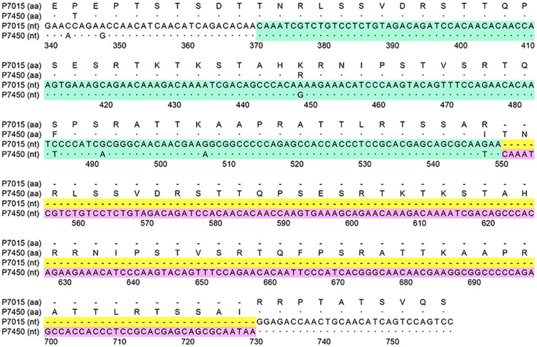 FIGURE 4