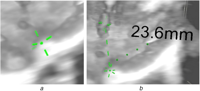 Fig. 2