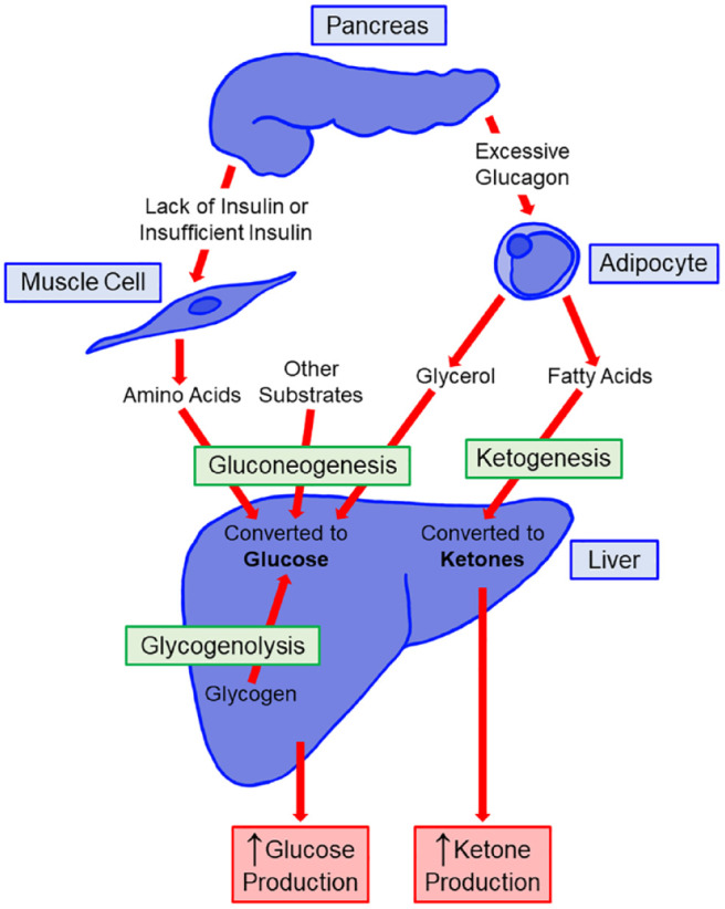 Figure 2.