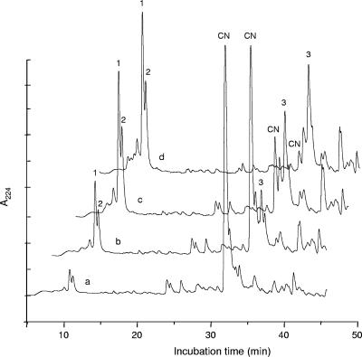 FIG. 2.