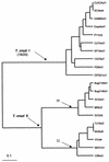 FIG. 1.