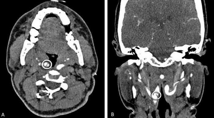 Figure 1.