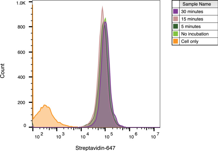 Figure 1—figure supplement 3.