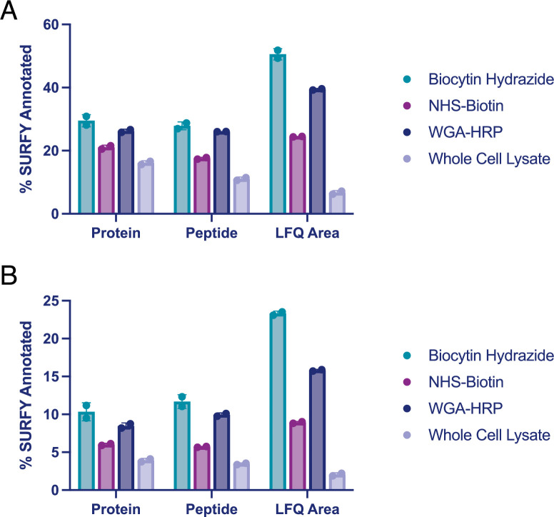 Figure 3—figure supplement 1.