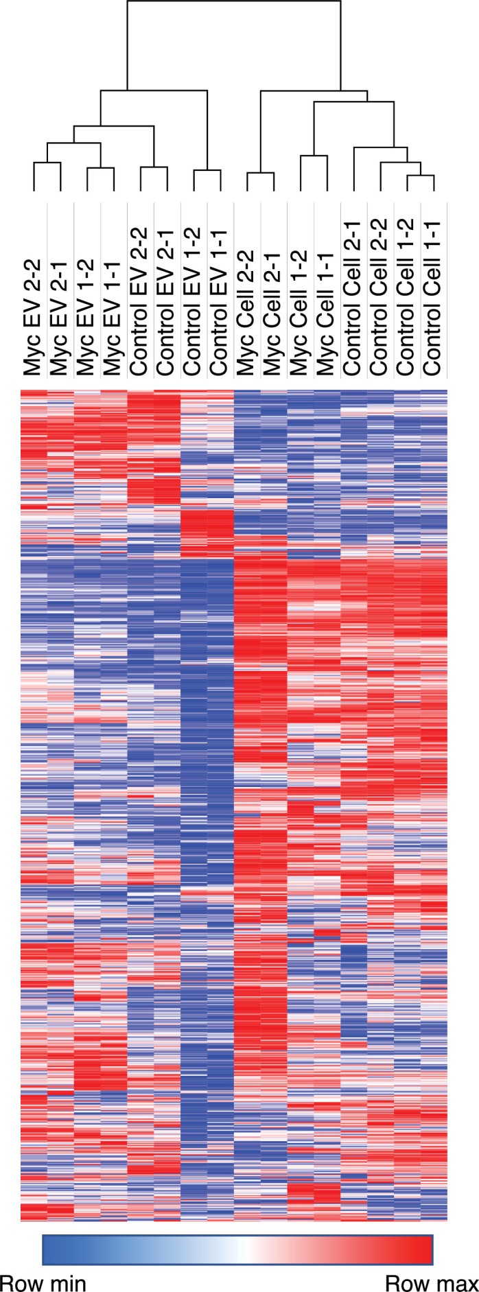 Figure 5—figure supplement 1.