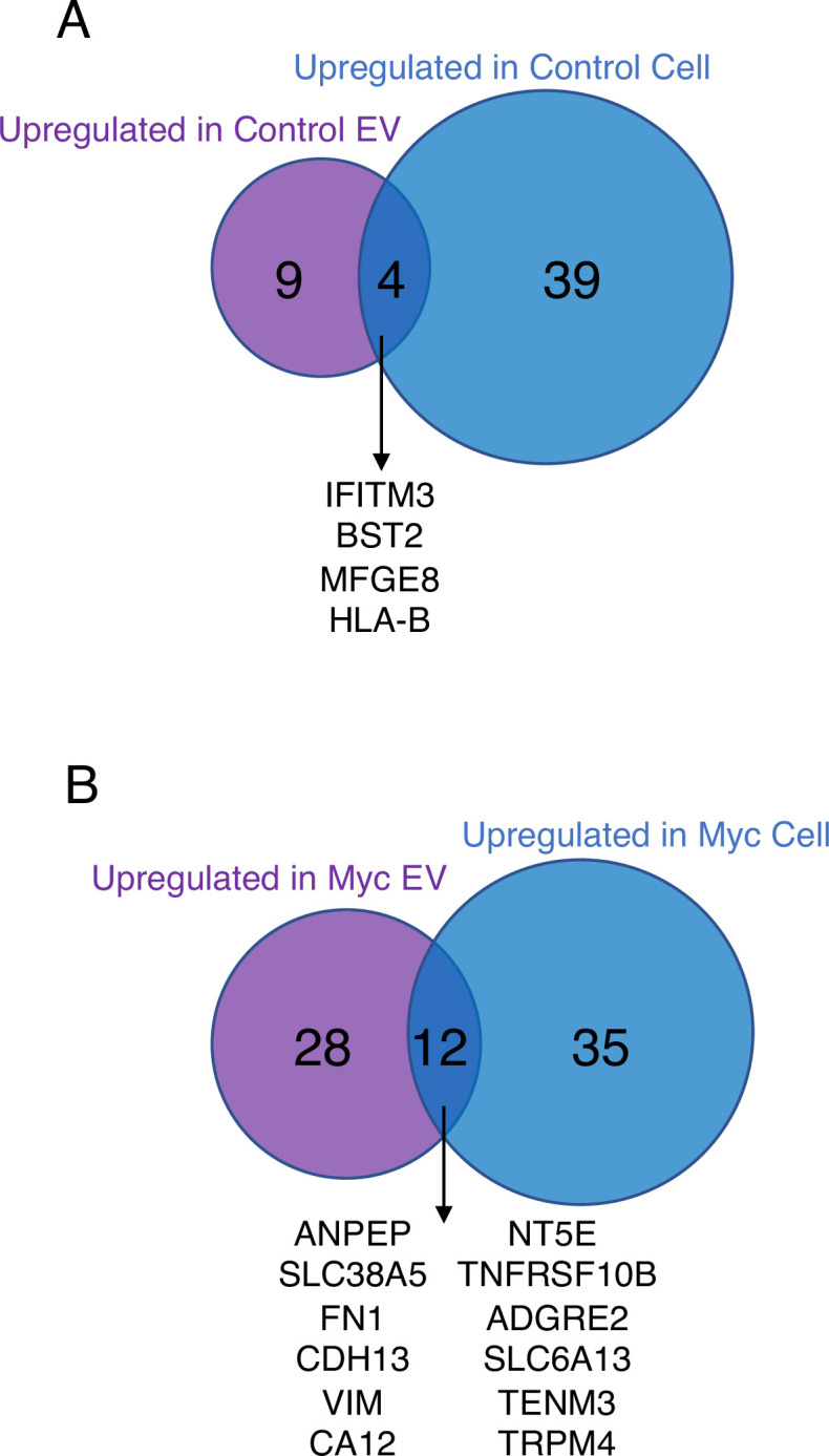 Figure 4—figure supplement 1.