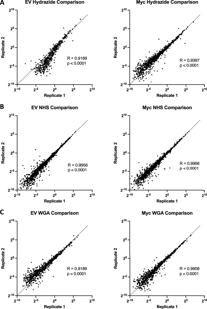 Figure 3—figure supplement 2.