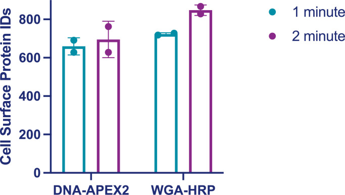 Figure 2—figure supplement 4.