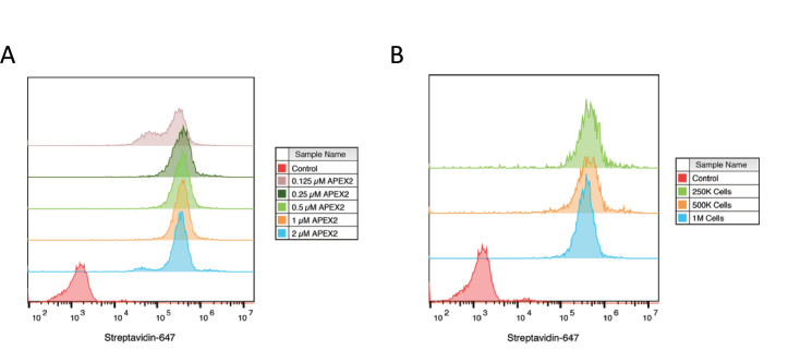 Figure 2—figure supplement 1.