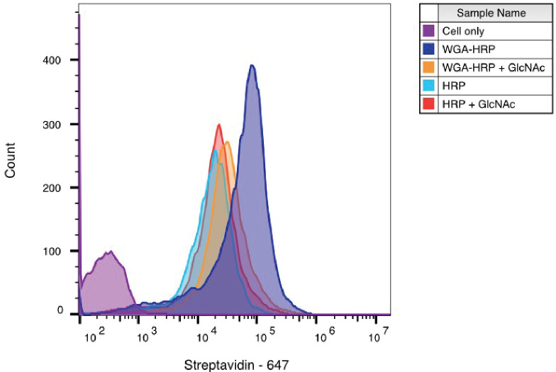 Figure 2—figure supplement 5.