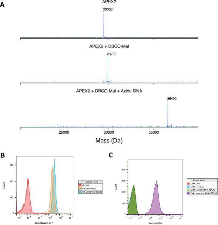 Figure 1—figure supplement 2.