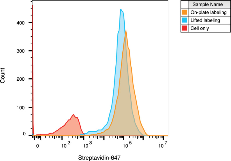 Figure 2—figure supplement 6.