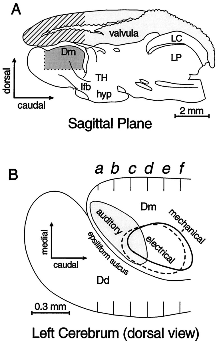 Fig. 1.