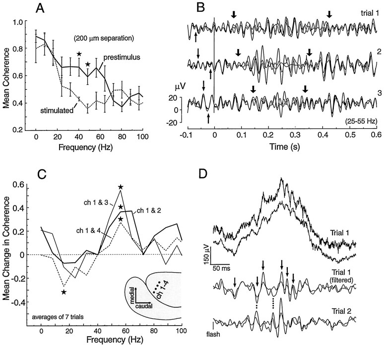 Fig. 10.