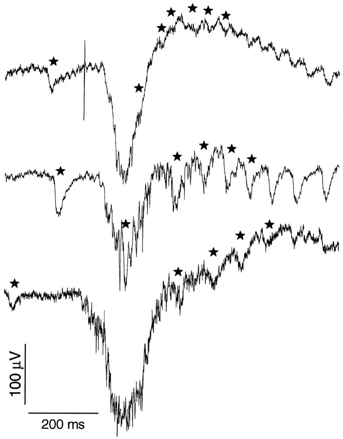 Fig. 9.