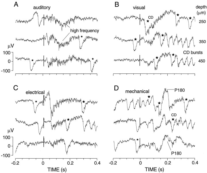 Fig. 8.