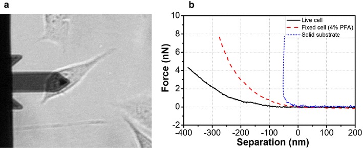 Fig. 4