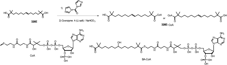 Scheme 3